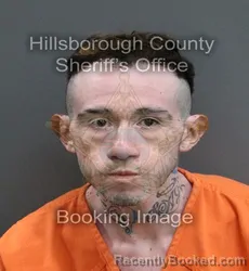 Mugshot of SERGIO ALAN LOPEZ MOLINA booked in Hillsborough County, Florida on May 25, 2026