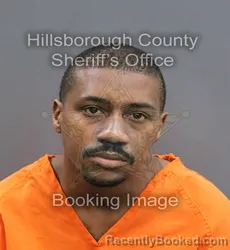 Mugshot of PLINEY DAYTON JR NIVENS booked in Hillsborough County, Florida on May 25, 2026
