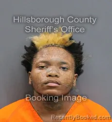 Mugshot of DA'SHAUN CAM'RON BYNUM booked in Hillsborough County, Florida on May 25, 2026