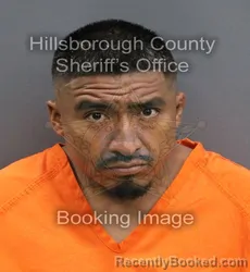 Mugshot of OSCAR MARTINEZ GONZALES booked in Hillsborough County, Florida on May 26, 2026