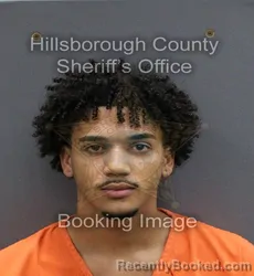 Mugshot of EMILIO JOSE ZAPATA booked in Hillsborough County, Florida on May 26, 2026