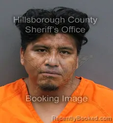 Mugshot of ARTEMIO HERNANDEZ MONROY booked in Hillsborough County, Florida on May 26, 2026