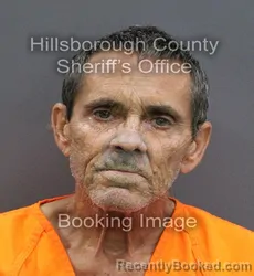 Mugshot of STEVE BYRON ALFONSO booked in Hillsborough County, Florida on May 26, 2026