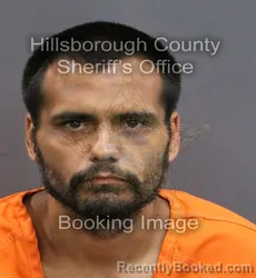 Mugshot of ROCKY MANUEL HART booked in Hillsborough County, Florida on May 26, 2026