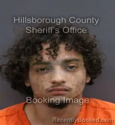 Mugshot of BRAYAN YADRIEL TORRES VILLALBA booked in Hillsborough County, Florida on May 26, 2026