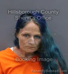 Mugshot of CHERYL ANN SIMS booked in Hillsborough County, Florida on May 26, 2026