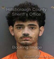Mugshot of DAVID HENRY SOWA booked in Hillsborough County, Florida on May 26, 2026