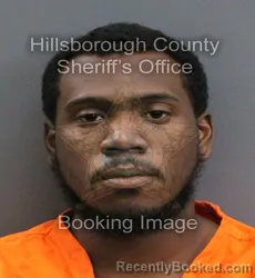 Mugshot of ROBERT ROSE III LEONARD booked in Hillsborough County, Florida on May 26, 2026