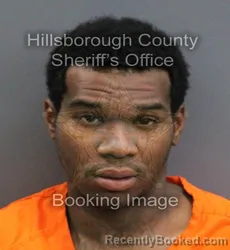 Mugshot of WADE JR WEST booked in Hillsborough County, Florida on May 26, 2026