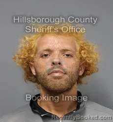 Mugshot of FRANCISCO JOEL RIVERA booked in Hillsborough County, Florida on May 26, 2026