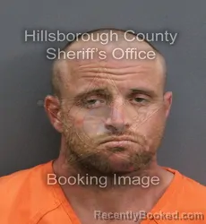 Mugshot of DILLION MARTIN JACKSON booked in Hillsborough County, Florida on May 26, 2026