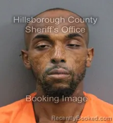 Mugshot of WILLIAM HENRY MERRELL booked in Hillsborough County, Florida on May 26, 2026