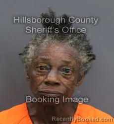 Mugshot of SHARON DENISE HILL booked in Hillsborough County, Florida on May 26, 2026