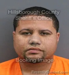 Mugshot of ANGEL LUIS JR DE JESUS CLAVELL booked in Hillsborough County, Florida on May 26, 2026