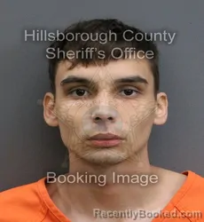 Mugshot of MICHAEL DMITRIY SZULGA booked in Hillsborough County, Florida on May 26, 2026