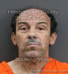 Mugshot of MICHAEL ALBERT SPINELLI booked in Hillsborough County, Florida on May 26, 2026
