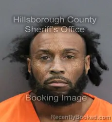 Mugshot of MARIO SIMS booked in Hillsborough County, Florida on May 26, 2026