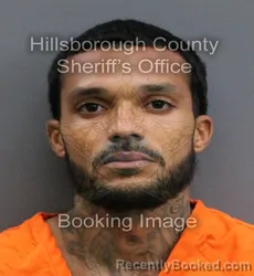 Mugshot of RUDY TAVION JORDAN booked in Hillsborough County, Florida on May 26, 2026