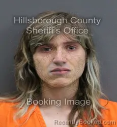 Mugshot of BRANDON PHILIP MEJIA booked in Hillsborough County, Florida on May 26, 2026