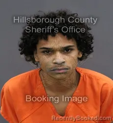 Mugshot of SERGIO PAULINO PERALTA booked in Hillsborough County, Florida on May 26, 2026