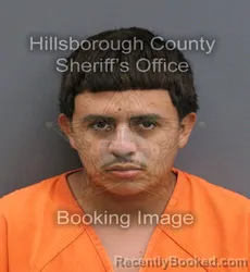 Mugshot of BRANDY MARTINEZ VIJIL booked in Hillsborough County, Florida on May 26, 2026