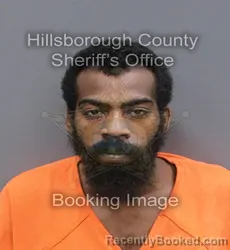Mugshot of ROMANE LAMONT JR FLETCHER booked in Hillsborough County, Florida on May 26, 2026
