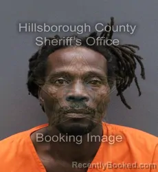 Mugshot of GEORGES FRITZ CADET booked in Hillsborough County, Florida on May 26, 2026