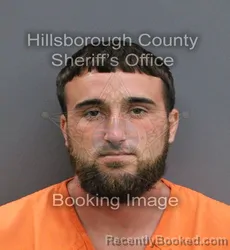 Mugshot of ANDREW FORREST HARRISON booked in Hillsborough County, Florida on May 26, 2026