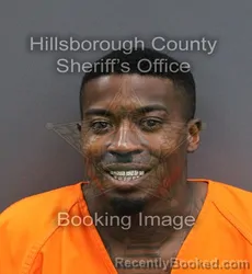 Mugshot of ALEXANDER AQUESTRIAN PRUITT booked in Hillsborough County, Florida on May 26, 2026
