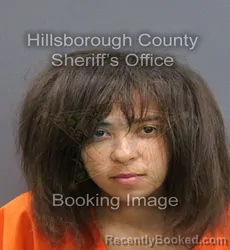 Mugshot of MYKAYLA RENEE HERBE HARDY booked in Hillsborough County, Florida on May 26, 2026