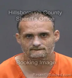 Mugshot of DAVID MICHAEL SEATON booked in Hillsborough County, Florida on May 26, 2026