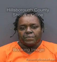Mugshot of ALICIA TRENASE HUDSON booked in Hillsborough County, Florida on May 26, 2026