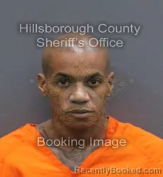 Mugshot of GUSTAVO ILLA ZAMORA booked in Hillsborough County, Florida on May 26, 2026
