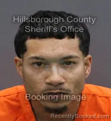 Mugshot of RICHARD JR TORRES booked in Hillsborough County, Florida on May 26, 2026