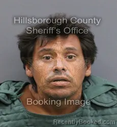 Mugshot of RAFAEL VILLEGAS booked in Hillsborough County, Florida on May 27, 2026