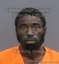 Mugshot of RONALD STOKES booked in Hillsborough County, Florida on May 27, 2026