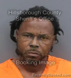 Mugshot of DARIEN MITCHELL booked in Hillsborough County, Florida on May 27, 2026