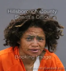 Mugshot of ARLINE CHRISTINE FLORES booked in Hillsborough County, Florida on May 27, 2026