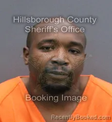 Mugshot of MICHAEL CHARLES WILLIAMS booked in Hillsborough County, Florida on May 27, 2026
