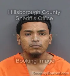 Mugshot of IVAN LUNA booked in Hillsborough County, Florida on May 27, 2026