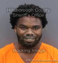 Mugshot of SOLOMON LEON JR DOZIER booked in Hillsborough County, Florida on May 27, 2026