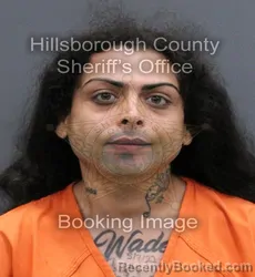 Mugshot of BRYANT FARFAN booked in Hillsborough County, Florida on May 27, 2026