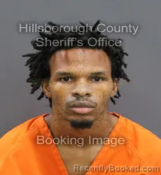 Mugshot of KODI C WILSON booked in Hillsborough County, Florida on May 28, 2026
