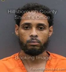 Mugshot of DOMINIK LORENZO DERAMO booked in Hillsborough County, Florida on May 28, 2026