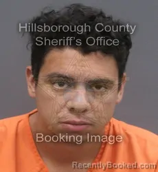 Mugshot of EDUARDO HUMBERTO PALACIOS booked in Hillsborough County, Florida on May 28, 2026