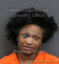 Mugshot of NARIELLE FINESSE FREEMAN booked in Hillsborough County, Florida on May 28, 2026