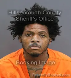 Mugshot of DARIUS LIL GEORGE RIVERS booked in Hillsborough County, Florida on May 28, 2026