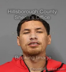 Mugshot of JOSE ALEJANDRO ROMERO booked in Hillsborough County, Florida on May 28, 2026