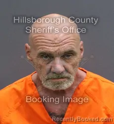 Mugshot of WILHELM JEFFREY DE WITT booked in Hillsborough County, Florida on May 28, 2026