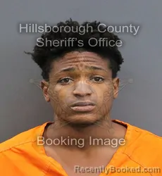 Mugshot of ISAIAH MILTON GAY booked in Hillsborough County, Florida on May 28, 2026